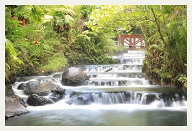 tabacon hot springs stream costa rica tours