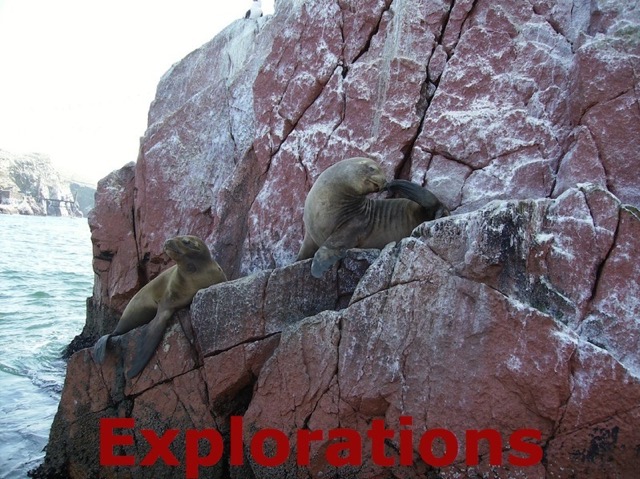 Peru South Coast Explorations - 024_WM
